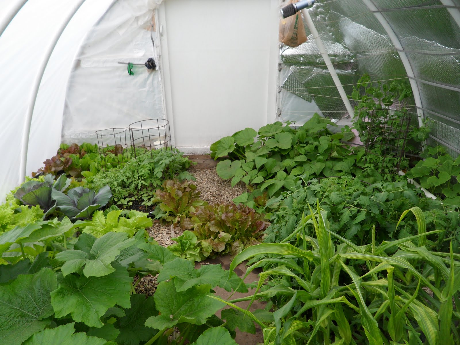 High Tunnel Aquaponics: High Tunnel Aquaponics in Kansas