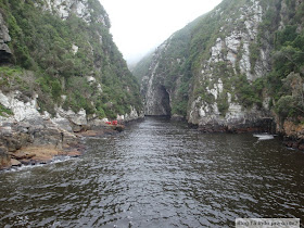 Parque Nacional de Tsitsikamma