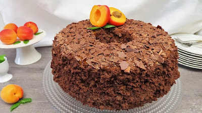 Kuglof Torta s Marelicama | Apricot Bundt Cake