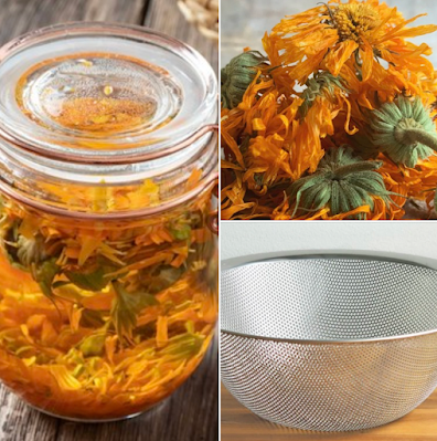 how to make calendula infusion for your dog and cat