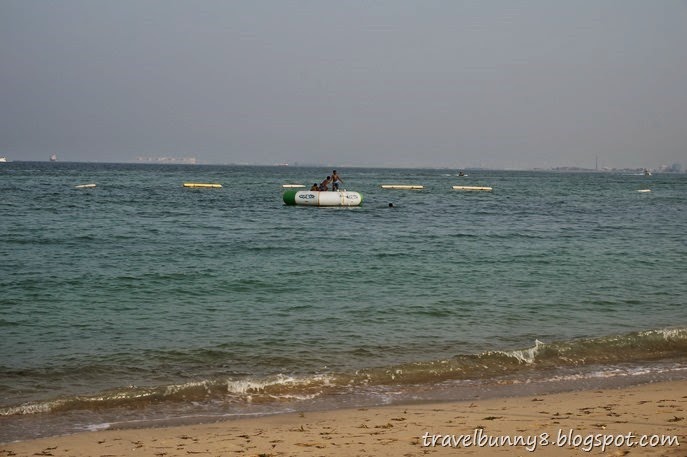 DSC03455 DSC03455