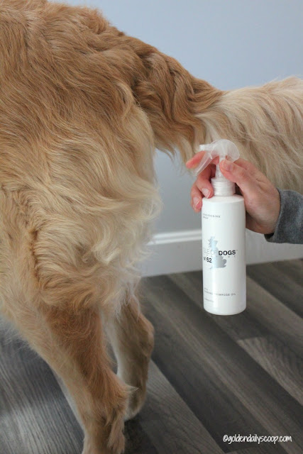 a conditioning spray for your golden retriever dog's coat to increase shine and soften skin