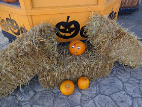 Last year we visited Southport Pleasureland - it was full of pumpkins!