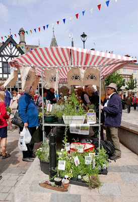 Congleton Bath House, Physic Garden, Congleton Food Festival, stall, herbs