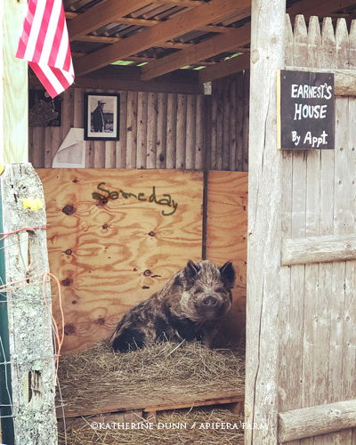 Earnest in his hut, above him is E.B.White and his road map