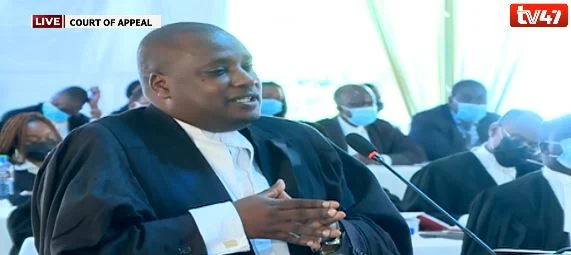 lawyer Elias Mutuma on BBI appeal photo