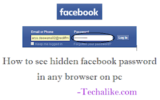 How To View Hidden Facebook Password Behind Asterisks in Any Browser On PC