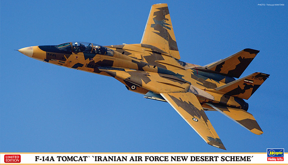  Hasegawa Grumman F  14A Tomcat Iranian  Air  Force  1 