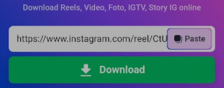 Download Reels Instagram