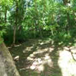 View album