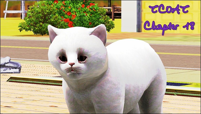Screenshot-140