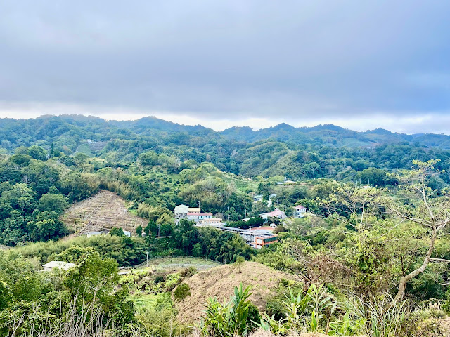 苗圃中心山東峰展望