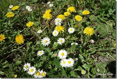 10-DSC01803