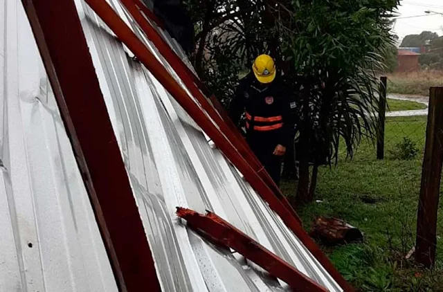 Los fuertes vientos provocaron voladura de techos, árboles y barrios sin luz en Mar del Plata