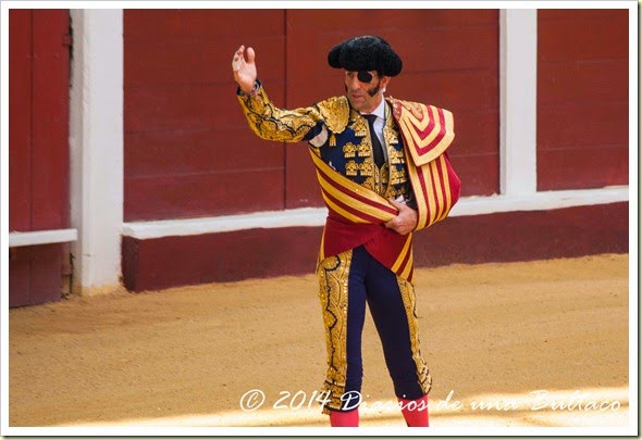 Toros 2014 (1)-1