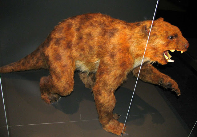 Thylacoleo carnifex (Сумчатый лев)