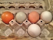 Fresh Green Colorful Eggs from the Farm - Thursday Two Questions #173