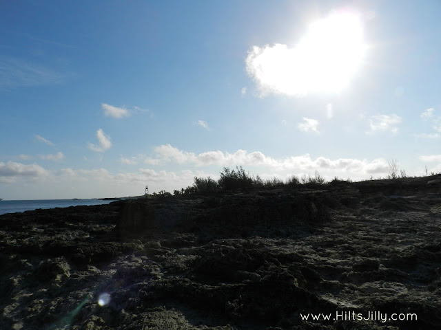 Rocky Shore on Coco Cay / Hi! It's Jilly