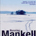 Italian Shoes by Henning Mankell