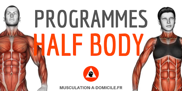 musculation-a-domicile_programme_musculation-debutant-poids-du-corps-haltere_half-body