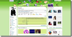 carnaval_theme_orkut_3