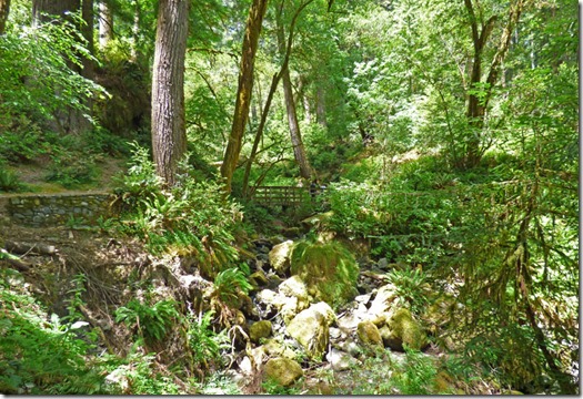 Bridge near start of Redwood Trail, near Alfred A. Loeb State Park