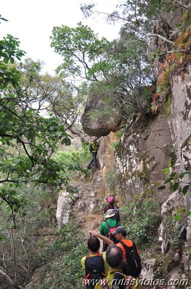 La Trocha - Rio de la Miel