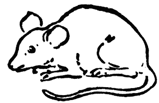 mouse clipart pics