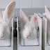 Is your nail polish tested on animals? About cruelty free nail polish
brands — an overview