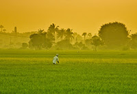 Sunrise on another baking hot day in southern India, where temperatures have reached 47°C (116.6°F) this year. (Credit: Pramila Krishnan) Click to Enlarge.