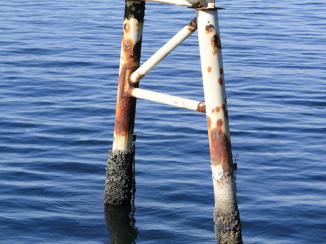 Ocean near Syndey-by-the-sea, Vancouver Island