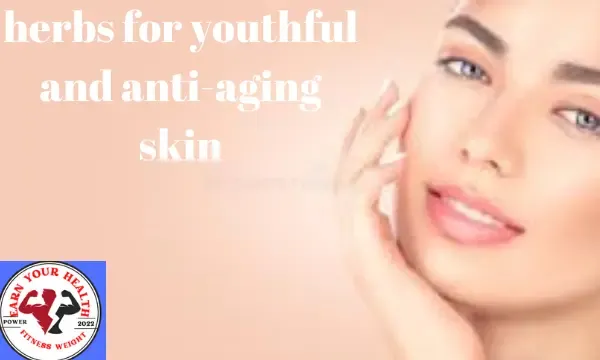best herbs for anti aging skin, best chinese herbs for youthful skin, ayurvedic herbs for anti aging,  herbs for skin elasticity,      herbs for skin,