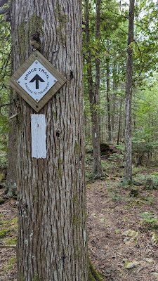 Bruce Trail Cape Chin south hiking path Ontario.