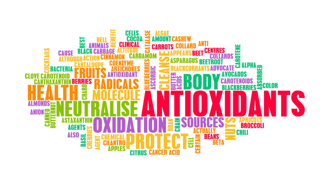 Antioksidan: Mengenal Lebih Dekat Si Penjaga Kesehatan Tubuh