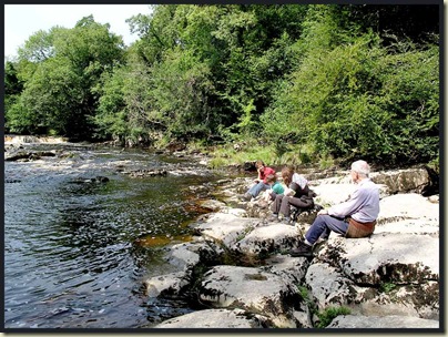 At Redmire Force