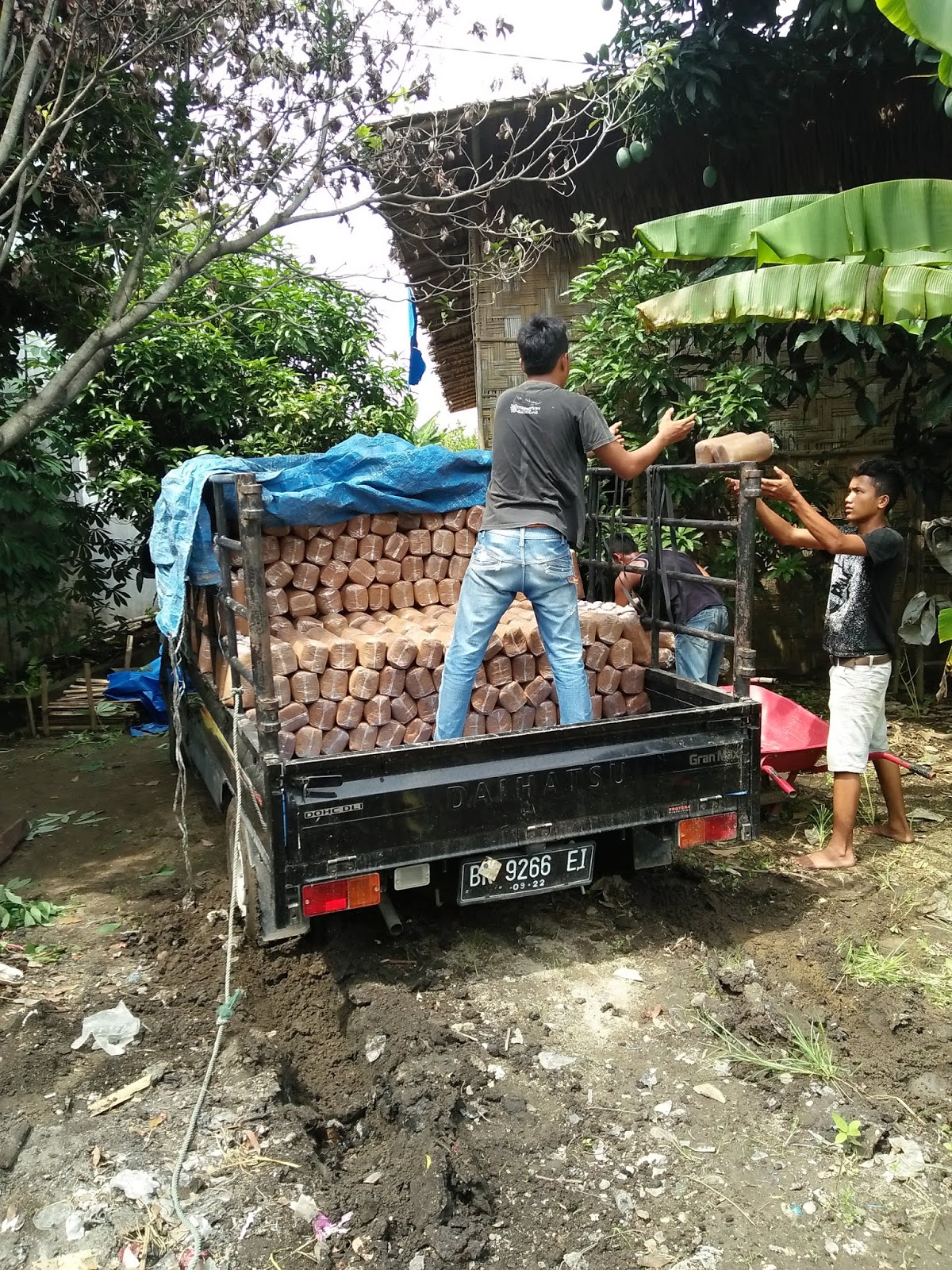 SEWA TRUK  COLT  DIESEL  DAN PICK UP DI MEDAN