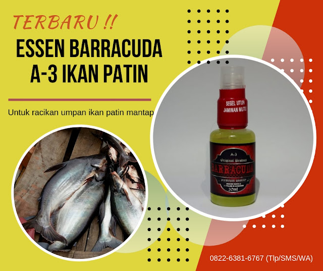 http://essenjitu.com/essen-barracuda/