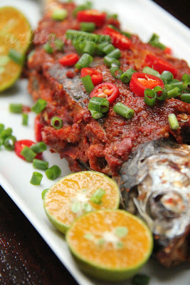 IKAN CENCARU SUMBAT CILI - masam manis