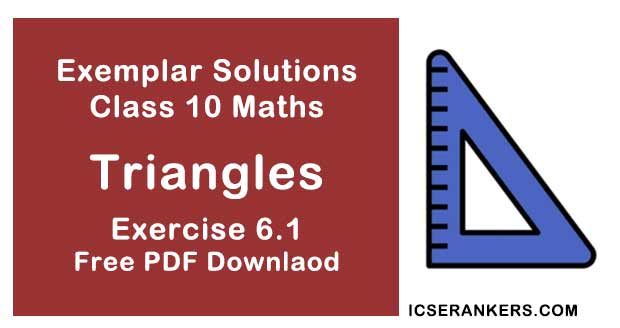 Chapter 6 Triangles NCERT Exemplar Solutions Exercise 6.1 Class 10 Maths