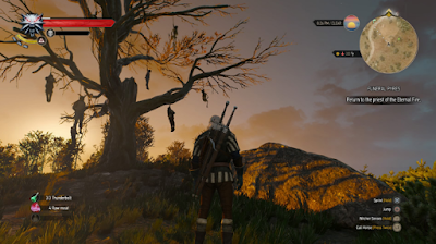 The Witcher 3 Wild Hunt Game of the Year Edition PC Free Download