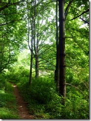 River Run Trail