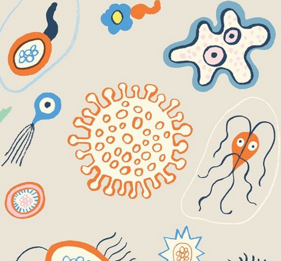 Characteristics of Microbes