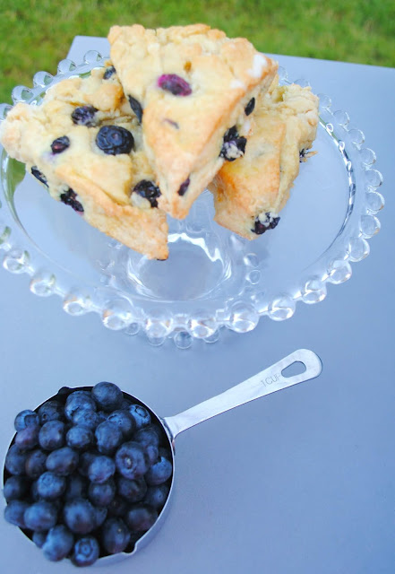 Blueberry-scones- blueberries 