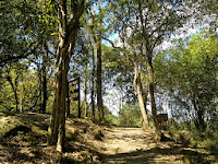 Parque Estadual da Cantareira em São Paulo