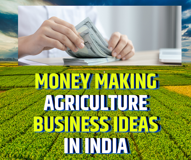 Money Making Agriculture Business Ideas In India,money making agriculture,making agriculture business,agriculture business ideas,business ideas india,profitable agricultural business,give information about,fetches good price,betel leaves farming,get maximum profit,information about crop