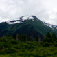 View album