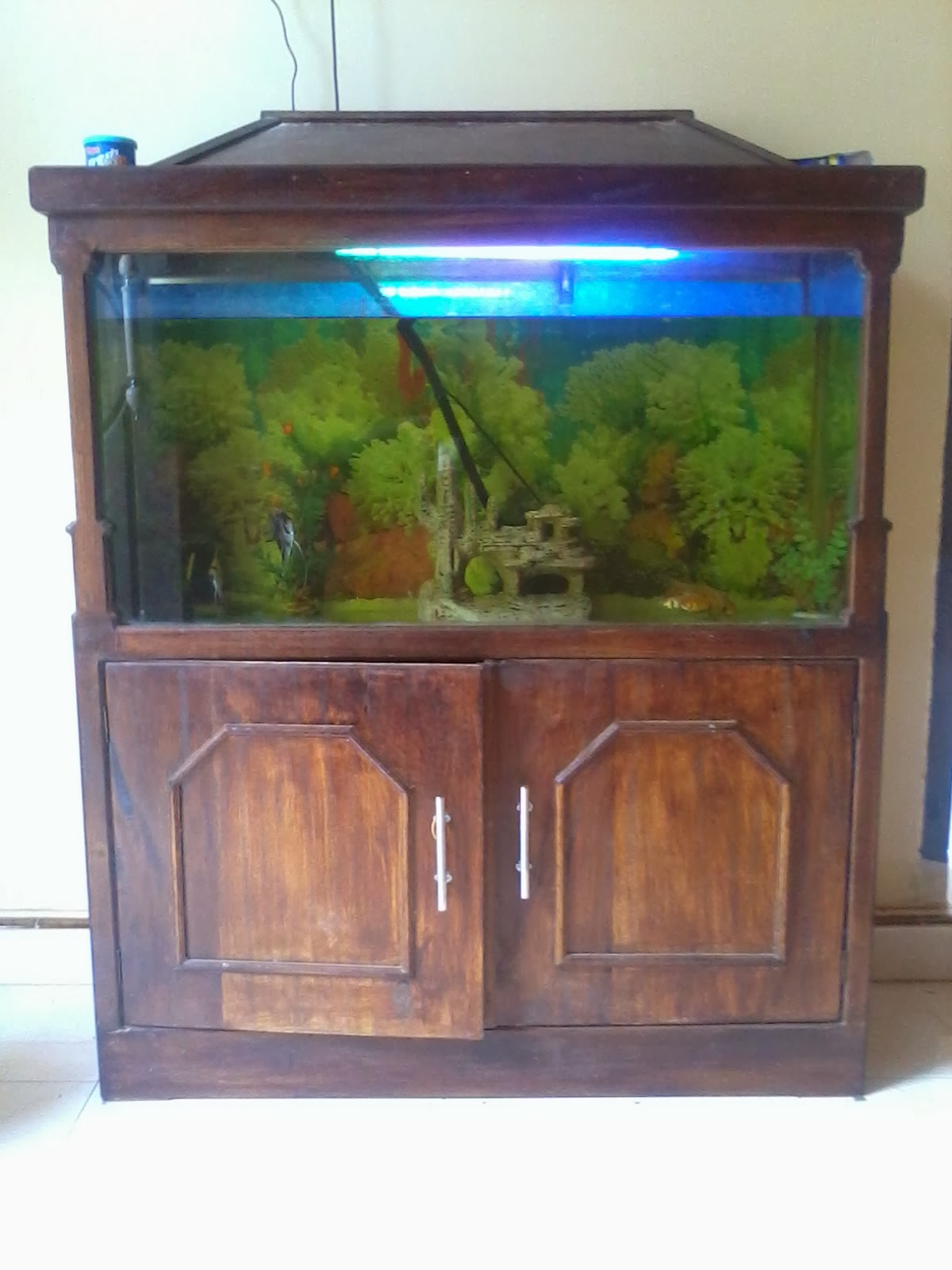 Info Harga TOKO BANGUNAN ONLINE Membuat Aquarium  Multifungsi