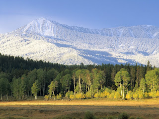 Yellowstone National Park