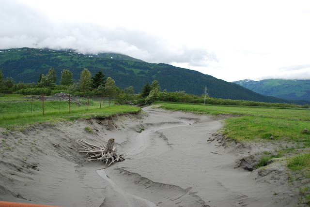 Alaska Wildlife Conservation Center