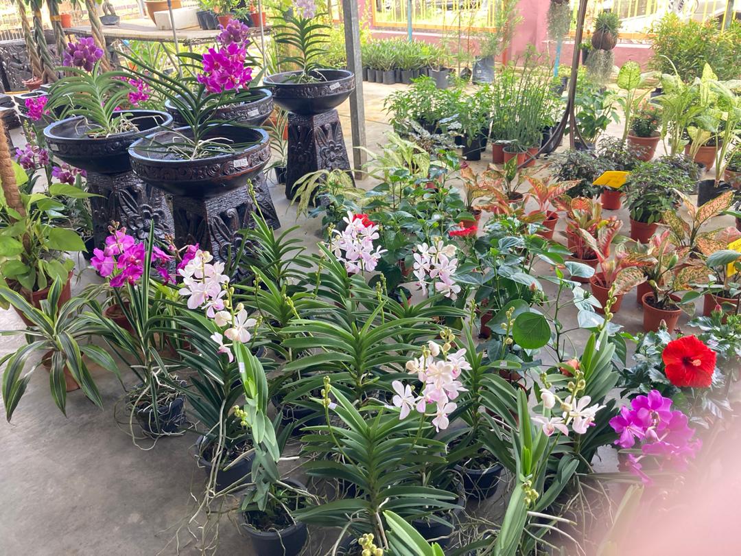 Kedai Basikal Banting